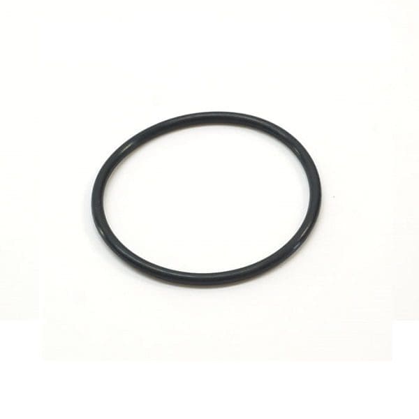 Thermostat O-Ring - 034121119